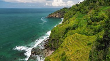 Aerial drone view of coastline with hills and trees, as well as view of coral cliffs and sea with waves from the ocean in Menganti Beach Kebumen Central Java Indonesia clipart