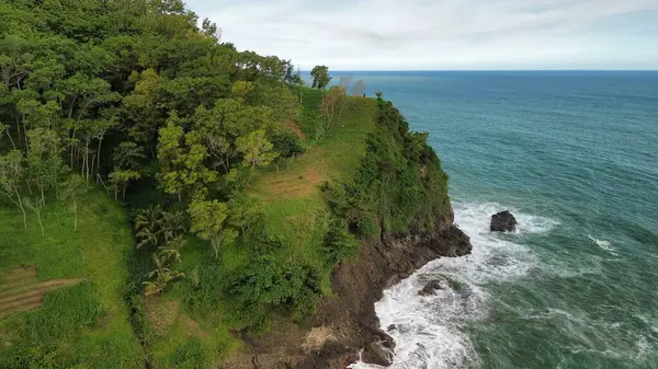 Tepeler ve ağaçlarla kıyı şeridini gösteren hava aracı manzarası, Watu Bale Beach Kebumen Central Java Endonezya 'daki mercan kayalıkları ve deniz dalgaları.