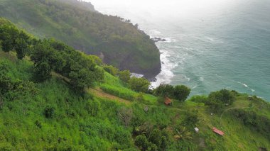 Tepeleri ve ağaçları olan kıyı şeridinin hava aracı görüntüsü, Sagara manzarasında okyanus dalgaları olan mercan kayalıkları ve deniz manzarası, Karang Bolong Beach Kebumen Merkezi Java Endonezya olarak da bilinir.
