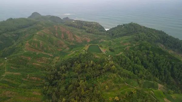 Tepeleri ve ağaçları olan kıyı şeridinin hava aracı görüntüsü, Sagara manzarasında okyanus dalgaları olan mercan kayalıkları ve deniz manzarası, Karang Bolong Beach Kebumen Merkezi Java Endonezya olarak da bilinir.