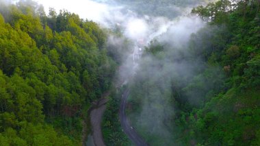 Ormanın ortasındaki otobanın dramatik drone manzarası ve sabah ince sisli tepelerin arasındaki ağaçlar.