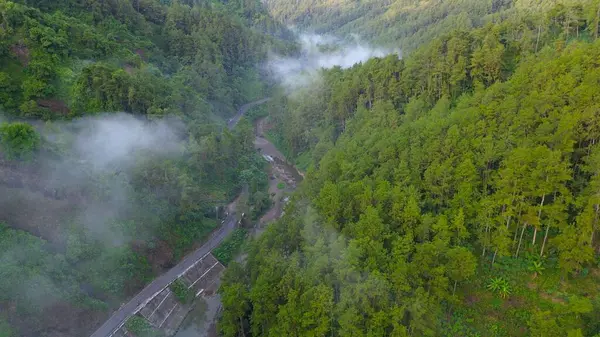 Ormanın ortasındaki otobanın dramatik drone manzarası ve sabah ince sisli tepelerin arasındaki ağaçlar.