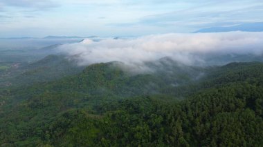 Tepelerin dramatik hava aracı manzarası sabah sisli yemyeşil ağaçlar ve sıra sıra dağlar.
