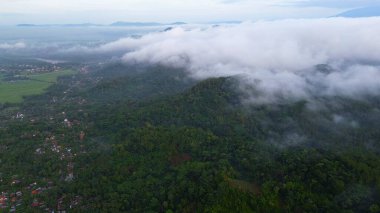 Tepelerin dramatik hava aracı manzarası sabah sisli yemyeşil ağaçlar ve sıra sıra dağlar.