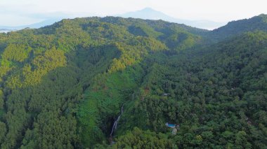 Tepelerin dramatik hava aracı manzarası sabah sisli yemyeşil ağaçlar ve sıra sıra dağlar.