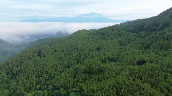 Tepelerin dramatik hava aracı manzarası sabah sisli yemyeşil ağaçlar ve sıra sıra dağlar.