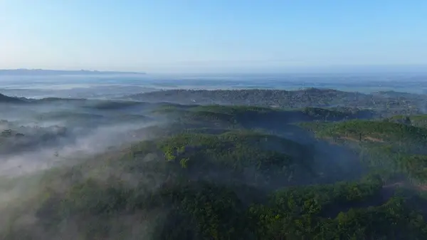 Tepelerin, ormanların ve ağaçların sabahları sisli ve dağlık arka planlı görüntüsü.