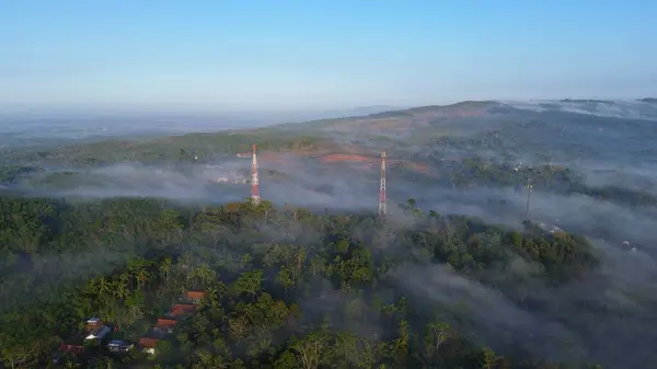 Tepelerin, ormanların ve ağaçların sabahları sisli ve dağlık arka planlı görüntüsü.