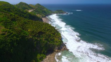 Aerial drone view of coastline with hills and trees, as well as view of coral cliffs and sea with waves from the ocean in Pecaron Beach Kebumen Central Java Indonesia clipart