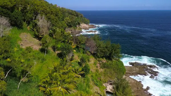 Denizin kenarındaki mercan tepelerinin insansız hava aracı görüntüsü ağaçlar, sahil kum mercan kayalıkları ve Sawangan Sahili 'nden gelen dalgalar, Kebumen, Central Java