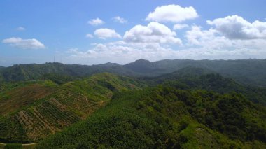 Endonezya 'da sabah yemyeşil ağaçlarla dolu bir sıra yeşil tepelerin havadan görünüşü