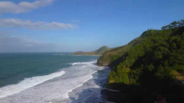 Tepeler, ağaçlar, kayalıklar, mercan resifleri ve Surumanis Sahili, Kebumen, Central Java 'daki denizden gelen dalgalarla birlikte kuş bakışı kıyı şeridi manzarası