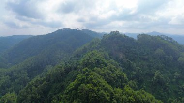 Endonezya 'da sabah yemyeşil ağaçlarla dolu bir sıra yeşil tepelerin havadan görünüşü