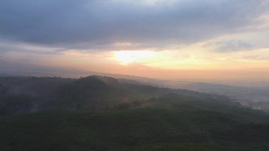 Sabahın altın saatinde, yumuşak güneş ışığı ve sabah sisiyle ormanın ve ağaçların drone görüntüsü.