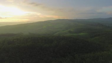 Sabahın altın saatinde, yumuşak güneş ışığı ve sabah sisiyle ormanın ve ağaçların drone görüntüsü.