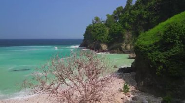 Öğleden sonra Sawangan, Kebumen, Central Java, Endonezya 'daki sahil şeridinde okyanus manzaralı ve mercan kayalıklarına çarpan dalgaların insansız hava aracı uçuşu.