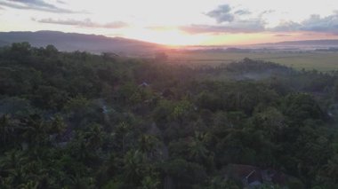 Hava aracı Sunrise 'ın kırsal kesiminde bir sürü ağaç, tarım arazisi ve arka planda tepeler ve dağlar olan yerleşimcilerin evleri ile birlikte görülüyor.