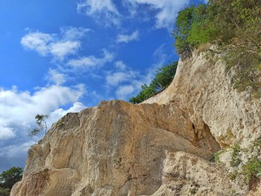 Doğanın Hünkâr 'ı: Berrak Orman ve Gökyüzü ile Huzurlu Dağ Manzarası