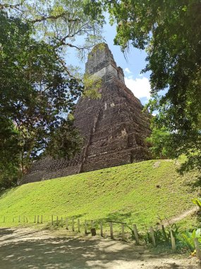 Doğa 'nın Sarılması: Guatemala, Tikal' deki Büyük Jaguar Tapınağı 'nın Huzurlu Arka Görünümü