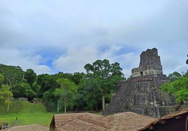 Görkemli Büyük Jaguar Piramidi Tikal Peten, Guatemala 'da