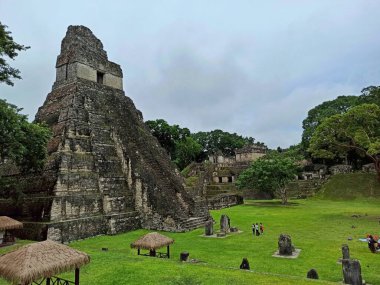 Tikal 'da Lush Vegetation, Peten, Guatemala ile Büyük Jaguar Piramidi