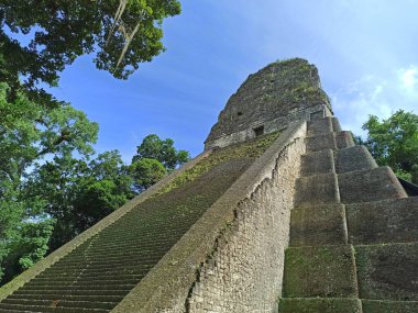 Büyük Maya Piramidi Tikal, Peten, Guatemala 'daki Lush Ormanı' na gömüldü