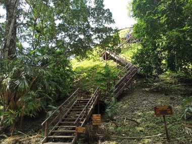 Wooden Stairs in Tikal Leading to the Viewpoint with Directional Signs, Peten, Guatemala clipart