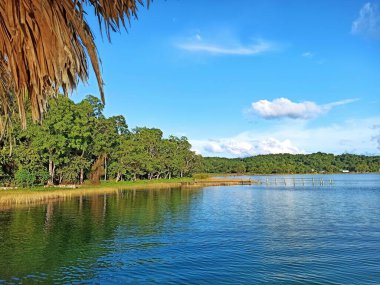 Peten Itza Gölü Huzur Suları ve Lush Shoreline, Peten, Guatemala