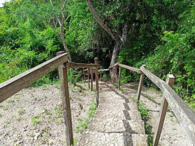 San Miguel Peten, Guatemala 'daki Tayasal Arkeoloji Alanındaki Tahta Merdivenler