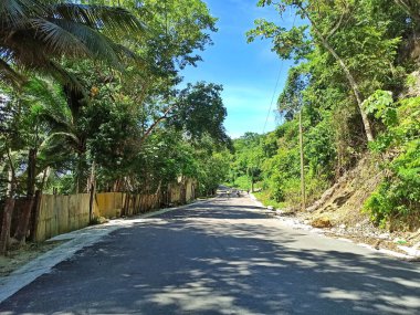 Jobompiche 'e Sunny Yolu, San Jose Peten Etrafı Lush Vegetation, Guatemala
