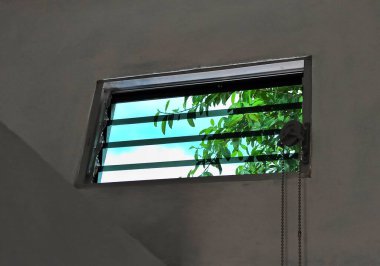 Arkaplanda bitki örtüsü olan dışarıya bakan pencere