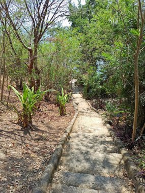 Peten Itza Gölü kıyısına giden Stone Stairway San Jose, Peten, Guatemala