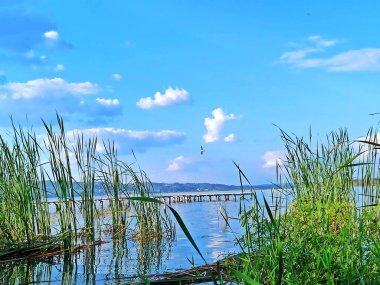 Peten Itza Gölü, El Pedregal Sahili, San Benito, Peten, Guatemala