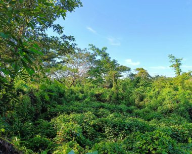 Güneşli bir günde Guatemala 'da bereketli kırsal alan