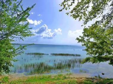 Tranquil Lake with Wooden Pier and Tropical Vegetation, El Remate, Flores, Peten, Guatemala. Paradise vacation concept clipart