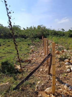 Guatemala kırsalında dikenli telli ahşap çit yapım aşamasında.