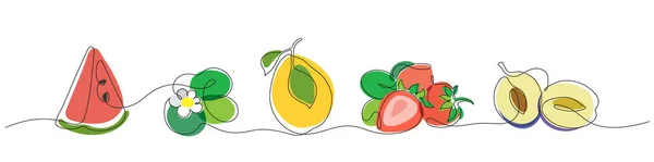 Ensemble Coloré Fruits Stylisés Vectoriels Utilisant Une Technique Minimaliste — Image vectorielle