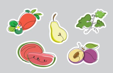 Renk vektörü mini etiket kümesinde meyveleri karala