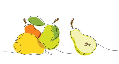 Karalama tarzında yaprakları olan izole edilmiş renkli vektör armutları