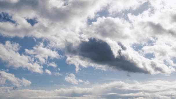 Ciel Bleu Nuages Gris Blanc Nuages Pelucheux Moelleux Cumulus Nuages — Video