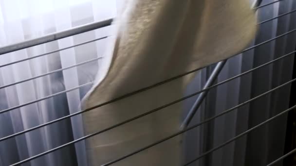 Een Man Hangt Natte Handdoeken Een Vloer Droogrek — Stockvideo