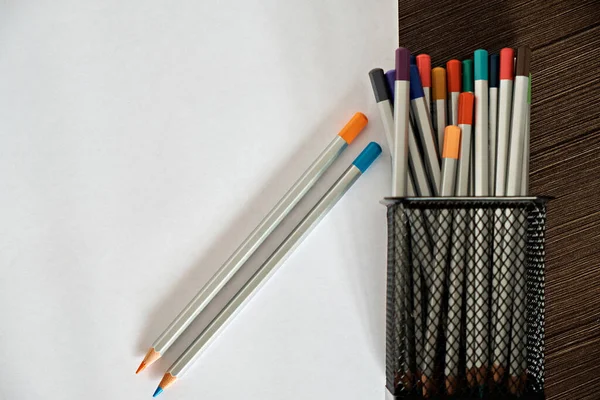 Demonstração Lápis Coloridos Suporte Metal Dois Lápis Diagonal Separadamente Fundo — Fotografia de Stock