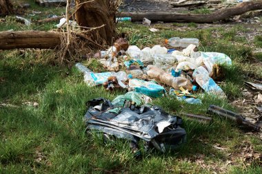 Bölge plastik, cam ve metal ambalajlarla kirlenmiş..