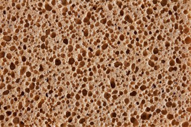Köpük sünger dokusu. Gözenekler yakın planda açıkça görülüyor..
