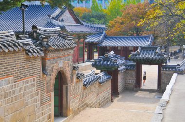 SEOUL, Güney Kore - 26 Ekim 2022: Eski saray kapısı ve Sonbaharda renkli ağaç yapraklı Deoksugung sarayı inşaatı. Resimde bir turist var..