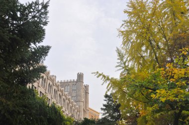 SEOUL, Güney Kore - 26 Ekim 2022: Barış Salonu Büyük Katedral Mimarisi Kyung Hee Üniversitesi Sonbaharda renkli ağaç yaprakları ile.