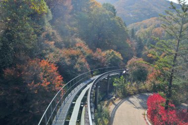 SEOUL, Güney Kore - 27 Ekim 2022: Hwadam Ormanı Botanik Bahçesi Red Orange akçaağacına giden küçük servis aracı metal tren yolu ormanın derinliklerinde güzel sonbahar yaprakları manzaralı ağaçlar bırakır.