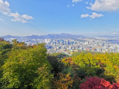 SEOUL, GÜNEY KOREA - 23 Ekim 2022: Seul 'deki gökdelen manzaralı yüksek binalar ve apartmanlar öğleden sonra Namsan Dağları' ndan güzel renkli yeşilliklerle gözleniyor