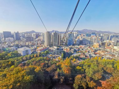 Sonbahar Akçaağaç yaprakları, Güney Kore, Seul 'deki şehir daireleri ve teleferik kulesi ile birlikte sonbaharda yapraklanır.