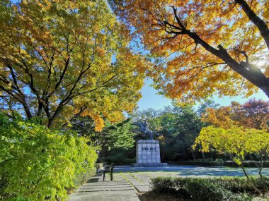 SEOUL, Güney Kore - 26 Ekim 2022: Antik Kore savaşçısı Namsan Dağı Parkı 'nın sonbahar mevsiminde güzel yeşillikte savaş atı statüsünde.